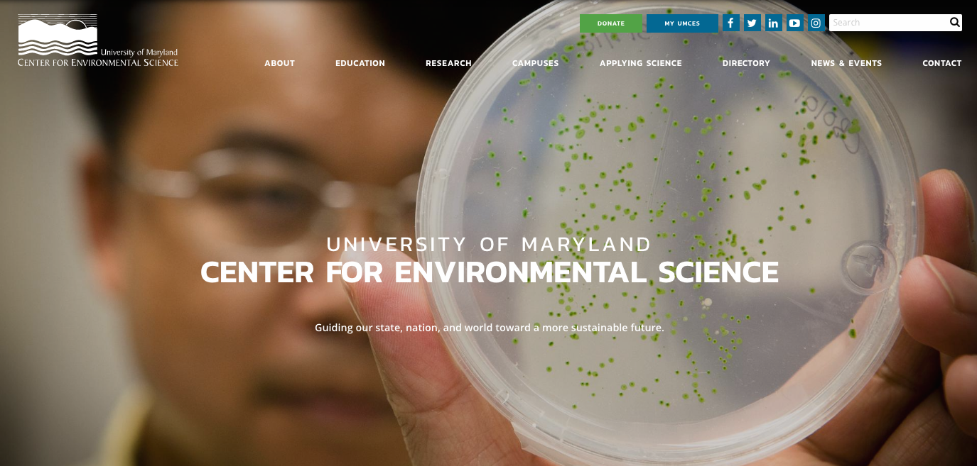 website home page